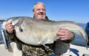 fishfisher