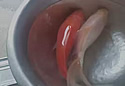 goldfishbarrel