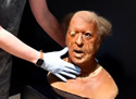 jawexhibit