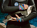 penguinzoonew