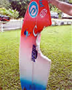 Bethany Hamilton surfboard lrg