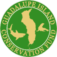 GICF logo