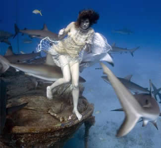 underwater women duplicate
