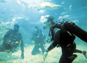 bangkok swim