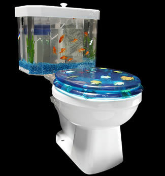 Biggest Fish Tank