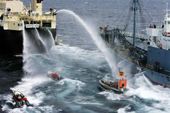 http://www.underwatertimes.com/news2/greenpeace_whalers_lrg.jpg