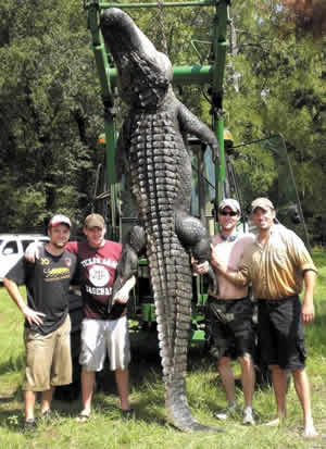 Times on Texans Snare  State Record  880 Pound  14 Foot Alligator With  Secret