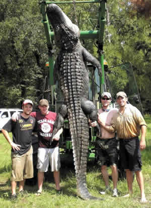 lufkin record alligator