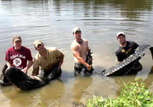 lufkin record alligator team