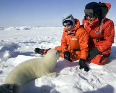 mccartney seal