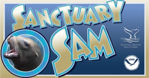 sanctuary sam logo