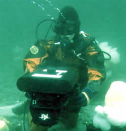 sonar diver