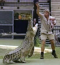 steve irwin baby