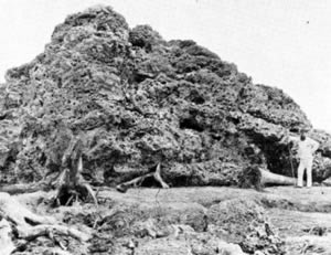 1883 Krakatau tsunami boulder