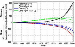 Carbon released fossil fuel burning