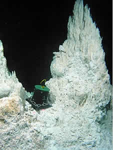 Lost City hydrothermal vents microbes