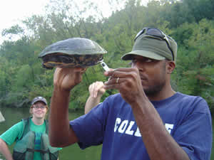 Scientist Stefan Moss Single Turtle