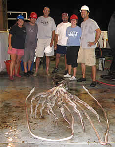 giant squid gulf of mexico crew