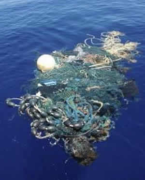  ... Found In Stomachs Of 9% Of Fish In The GREAT PACIFIC GARBAGE PATCH