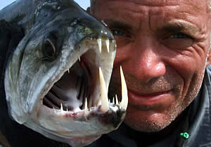Jeremy Wade