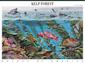 kelp forest stamp