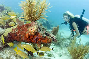 key largo coral florida