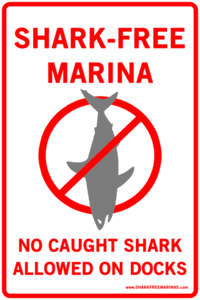 shark free marina logo