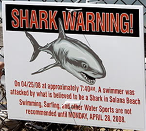 solana beach shark attack warning sign