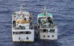taiwan boat tuna transfer