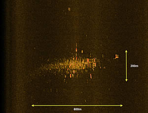 air france 447 debris field side scan