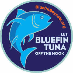 boycott bluefin tuna
