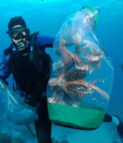 florida keys lionfish derby