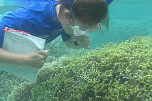guam coral