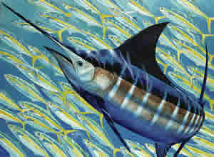 guy harvey blue runner