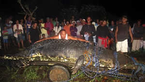 monster 21 foot crocodile philipines
