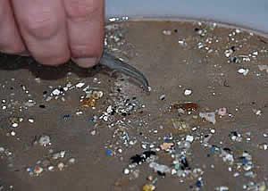 plactic debris collection ocean