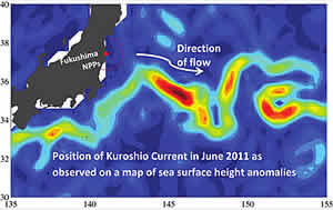 radioactivity Kuroshio Current Japan