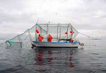 sea proof net Sweden