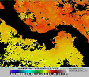 sea surface temperature 2010