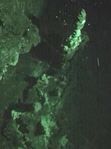 southern ocean Deep sea vent