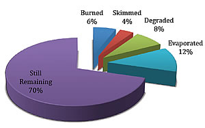 Georgia Sea Grant oil high loss rate
