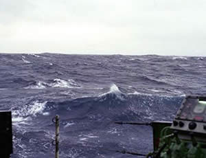 gas exchange open ocean