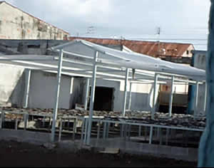 sharkfin drying puntarenas