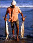 overfish