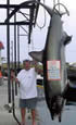 threshersharkworldrecordsmall