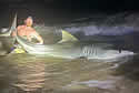 12shark