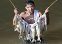 amazonfish