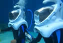 aquarium