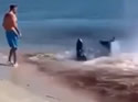beachblood
