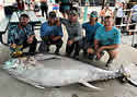 bigtuna
